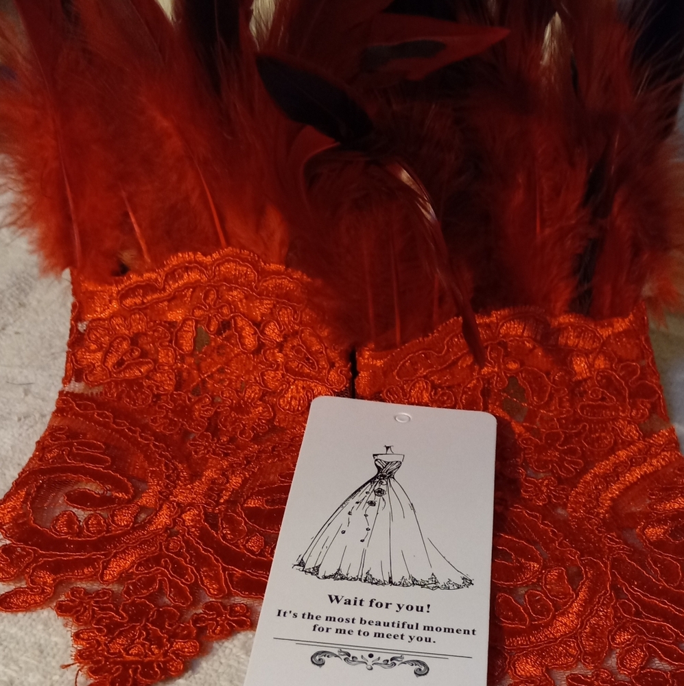 New,elegant red&black feathers red embroidered fingerless gloves for dress-up. - Picture 1 of 4
